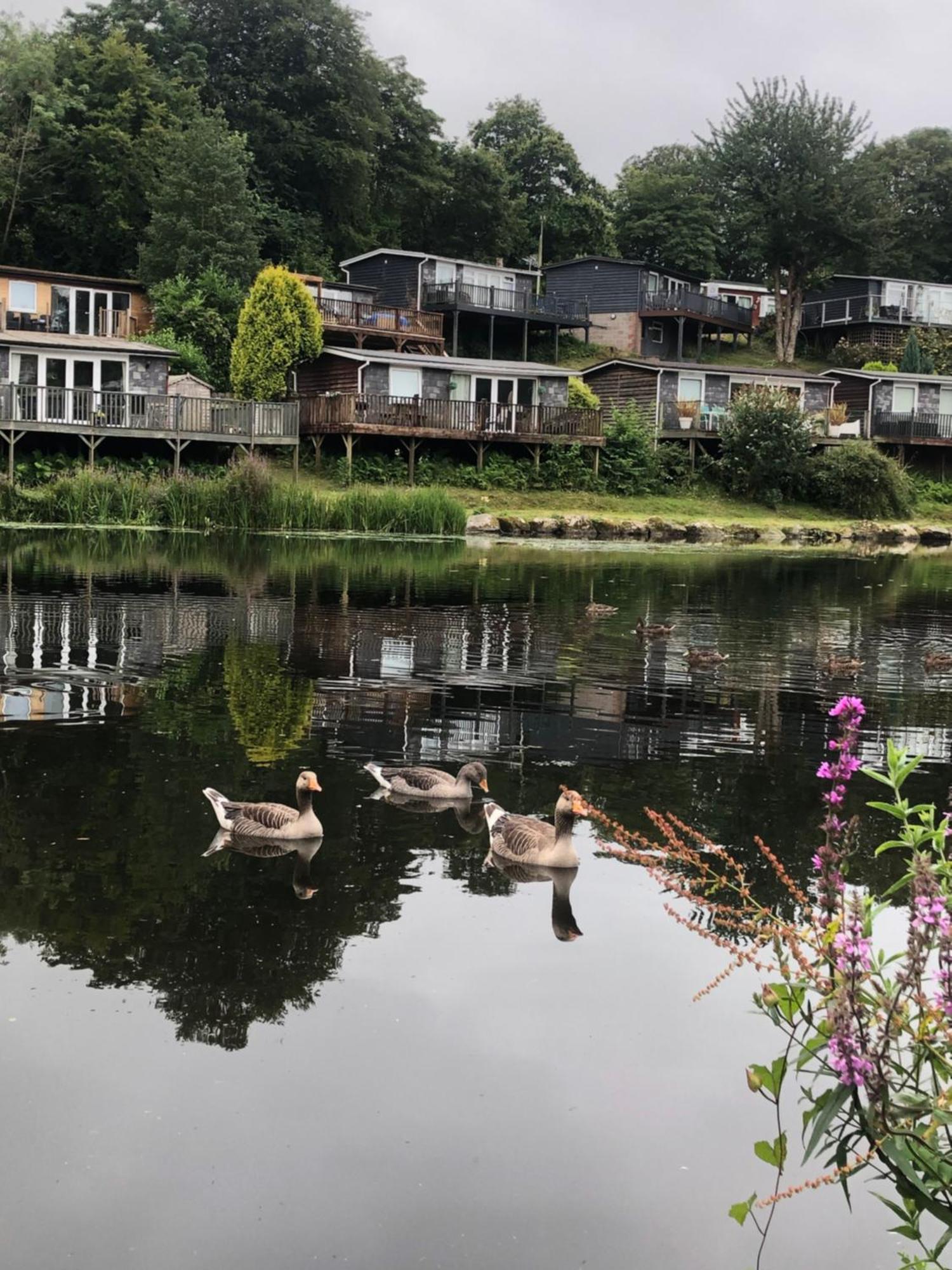 Chalet 64, Lakeside, Glan Gwna Holiday Park Caernarfon Exterior photo